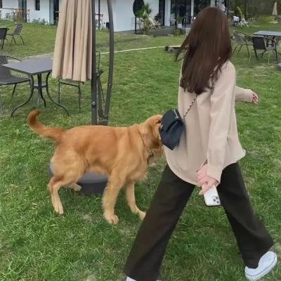 深度谜案
